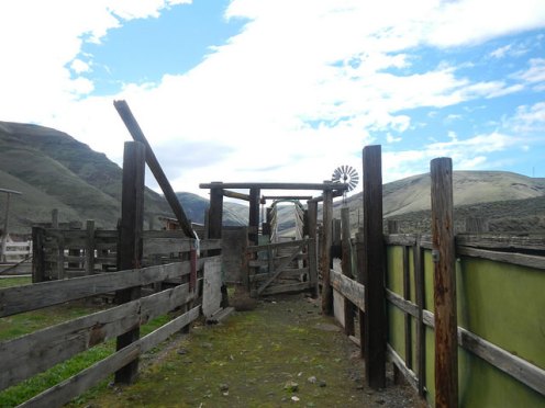 Cow corral